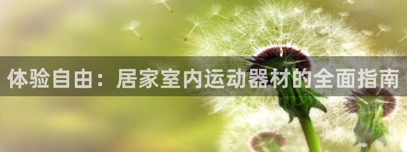 fb体育平台是正规平台吗：体验自由：居家室内运动器材