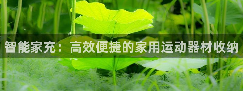 fb体育招商电话号码：智能家充：高效便捷的家用运动器材收纳