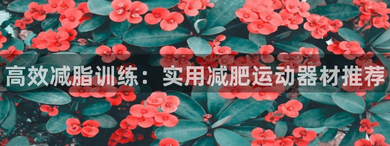 fb体育神州：高效减脂训练：实用减肥运动器材推荐