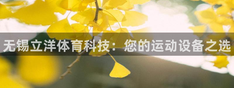 fb体育娱乐：无锡立洋体育科技：您的运动设备之选