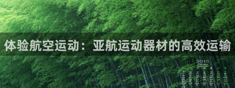 fb体育神州：体验航空运动：亚航运动器材的高效运输