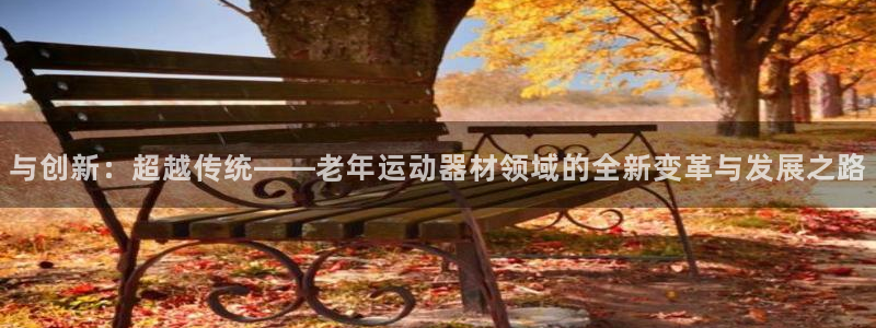 fb体育平台注册流程图：与创新：超越传统——老年运动