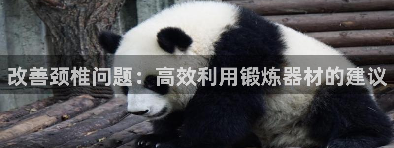 fb体育娱乐40996：改善颈椎问题：高效利用锻炼器材的建议