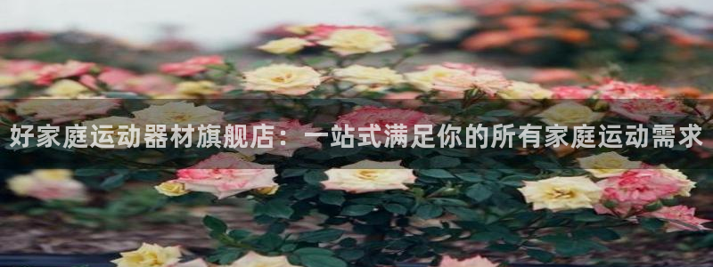 fb体育五金厂：好家庭运动器材旗舰店：一站式满足你的所有家庭