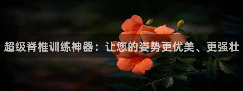 fb体育平台注册要钱吗安全吗：超级脊椎训练神器：让您的姿势更