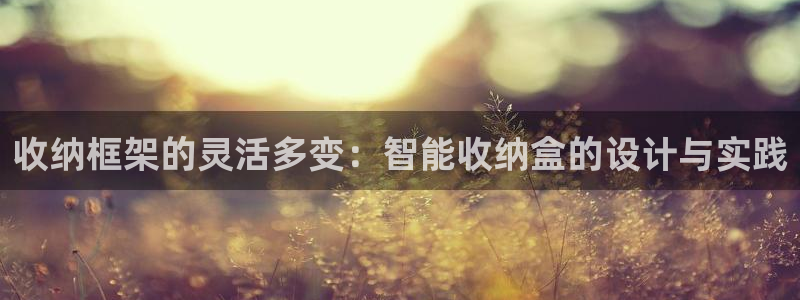 fb体育平台注册要钱吗安全吗：收纳框架的灵活多变：智